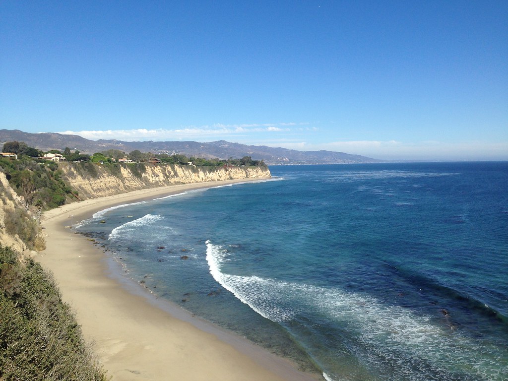 Top 5 Dog-Friendly Beaches in Malibu